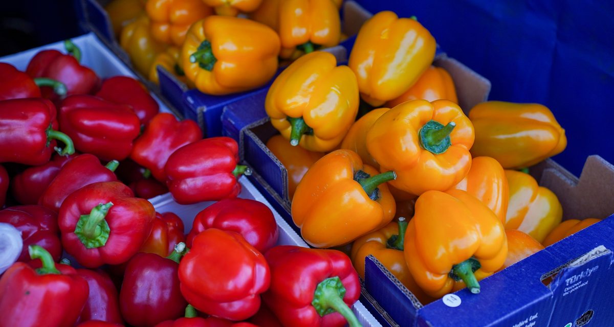 Сельхозярмарки с продуктами дешевле розницы вернутся в Набережные Челны 12 сентября